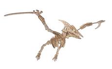 Woodcraft Dřevěné 3D puzzle Pterosaur